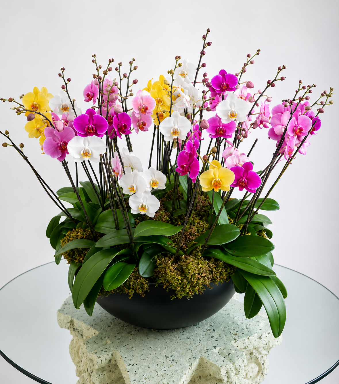 Arreglo Premium de Orquideas Phalaenopsis Mixto